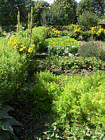 Garten-60.jpg